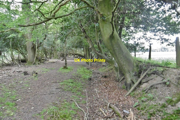 Photo 6"x4" Culverley, embankment & ditch Applemore c2015
