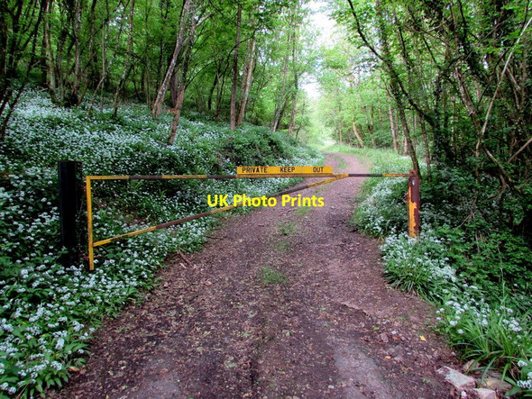 Photo 6"x4" Private - keep out of Swanpool Wood Redbrook\/SO5310 c2015
