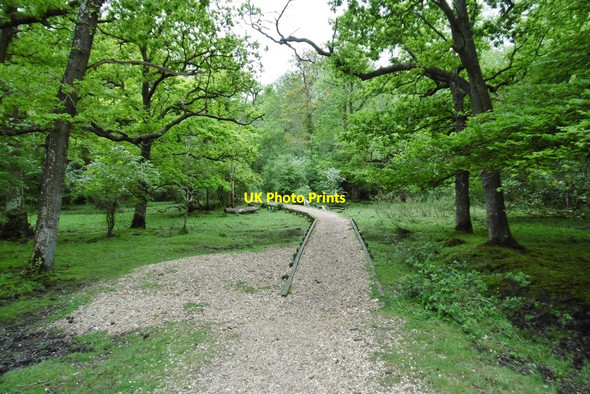 Photo 6"x4" Ipley, causeway Applemore c2015