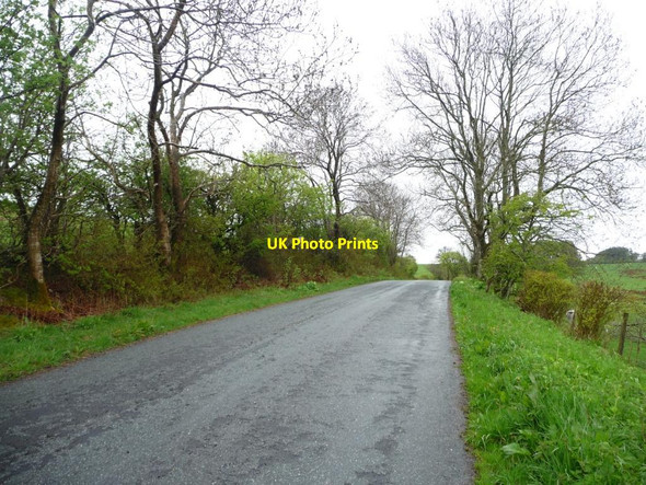 Photo 6"x4" The road from Uldale Uldale\/NY2436 c2015