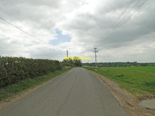 Photo 6"x4" Icknield Way between Lackford and Cavenham Cavenham c2015