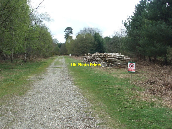 Photo 6"x4" Wood Stack Iken c2015