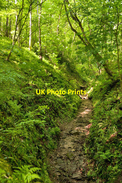 Photo 6"x4" Dry stream bed at Danes Dyke, E Yorks Croft c2015