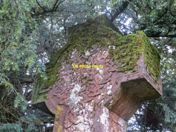 Photo 6"x4" Moss on the Cross Abergwesyn c2015