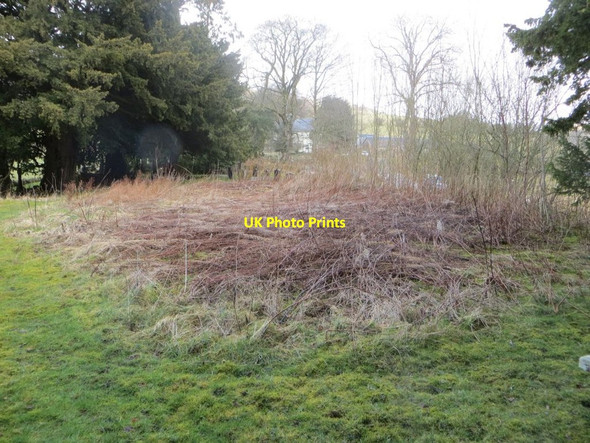 Photo 6"x4" All that remains Abergwesyn c2015