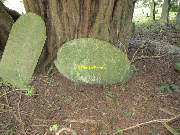 Photo 6"x4" Wall plaques under the Yew Abergwesyn c2015