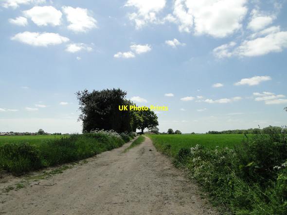 Photo 6"x4" Sandy Lane, East End Brantham c2015