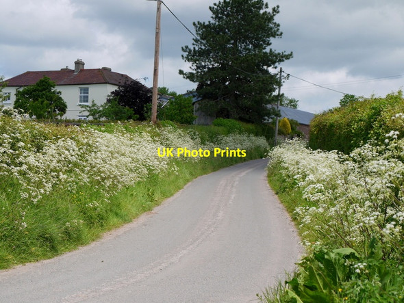 Photo 6"x4" Lane to Kerry's Gate Kerry's Gate c2015