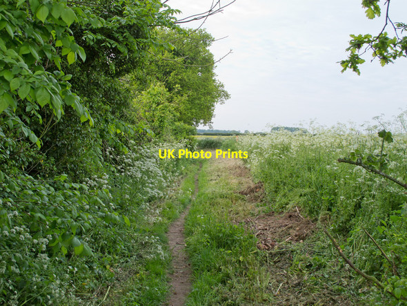 Photo 6"x4" Drunkards Lane, Falkenham Falkenham c2015