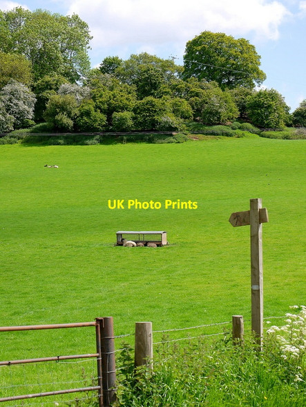 Photo 6"x4" Path from Ponty Pinna Vowchurch c2015