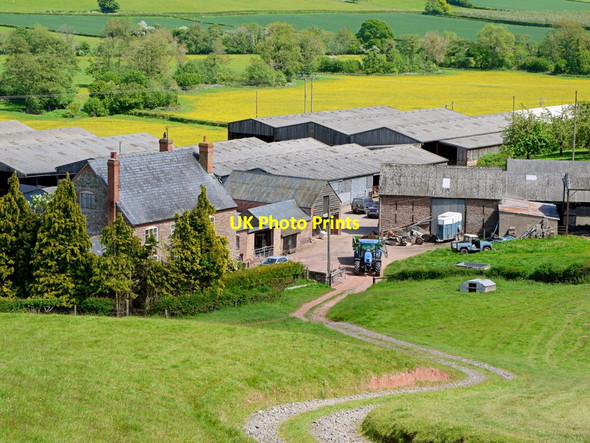 Photo 6"x4" Newcourt Farm, from above Bacton\/SO3632 c2015