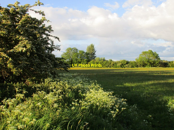 Photo 6"x4" Field off Goxhill Road Barrow Hann c2015
