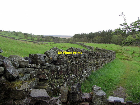 Photo 6"x4" Pennine Way near Fairhill Alston\/NY7146 c2015