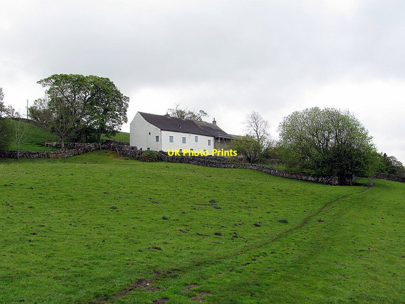 Photo 6"x4" Low Nest from the Pennine Way Bayles c2015
