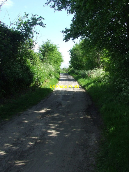 Photo 6"x4" Sandy Lane Sudbury\/TL8741 c2015