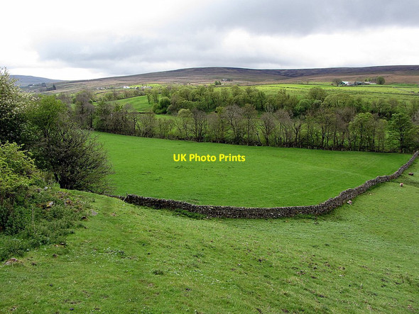 Photo 6"x4" Pasture near Low Sillyhall Leadgate\/NY7043 c2015