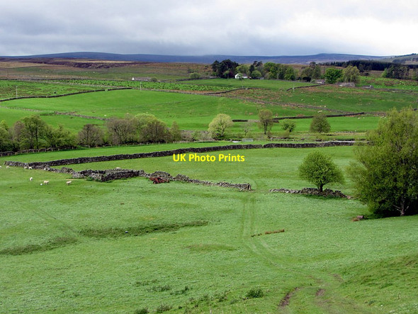 Photo 6"x4" Fields above South Tyne near Low Sillyhall Leadgate\/NY7043 c2015