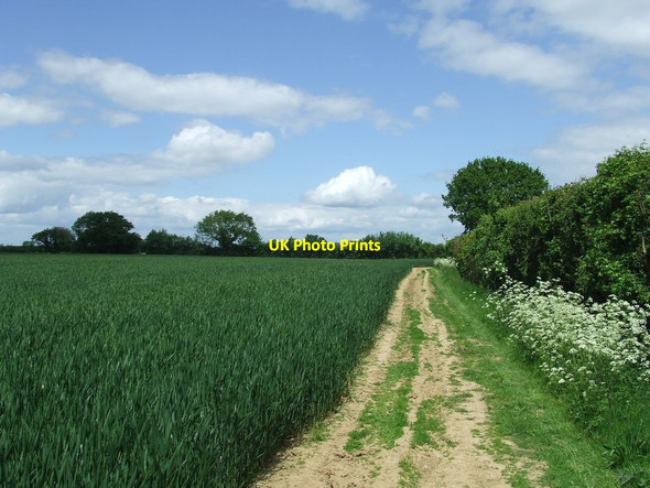 Photo 6"x4" Green Fields And Blue Skies Little Cornard c2015
