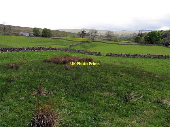 Photo 6"x4" Fields near High Skydes Garrigill c2015