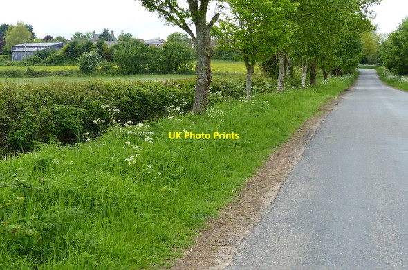 Photo 6"x4" Lane heading north towards Claydon Claydon\/SP4550 c2015