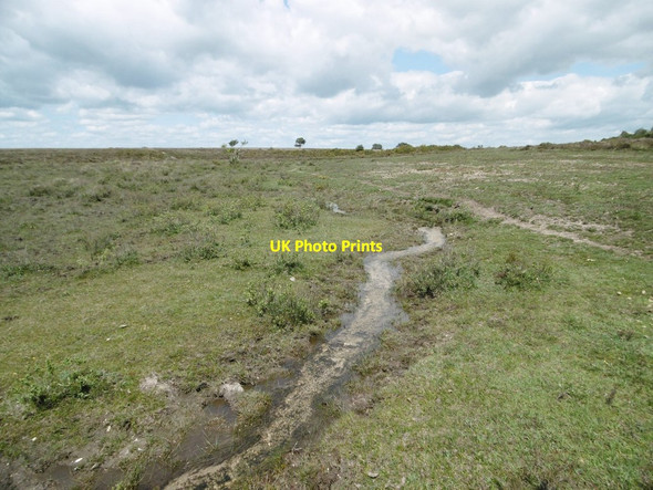 Photo 6"x4" Beaulieu Heath, brook Bull Hill\/SZ3398 c2015