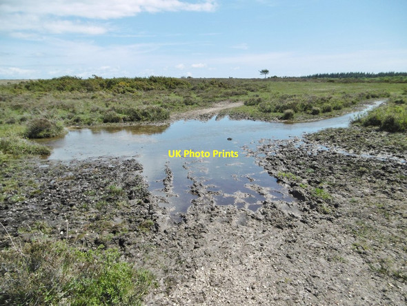 Photo 6"x4" Beaulieu Heath, ford Bull Hill\/SZ3398 c2015