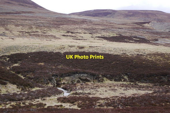 Photo 6"x4" Glen Fiddich Glenfiddich Forest c2015