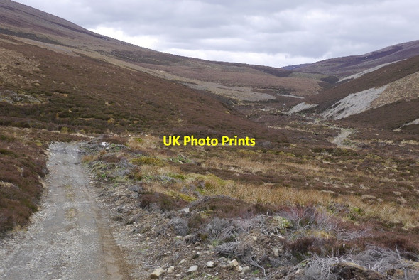Photo 6"x4" Road up Glen Fiddich Glenfiddich Forest c2015