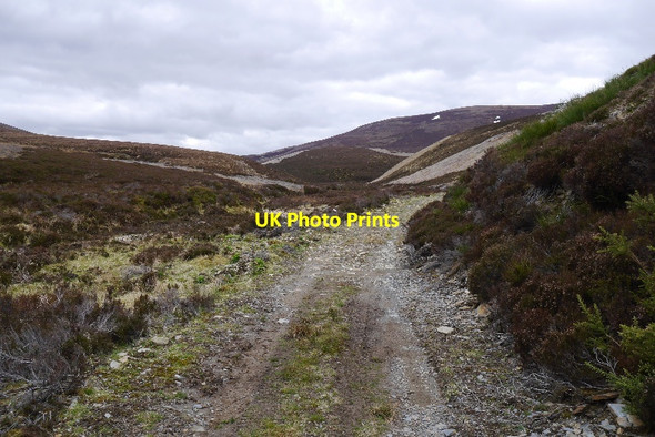 Photo 6"x4" Road, Glen Fiddich Glenfiddich Forest c2015