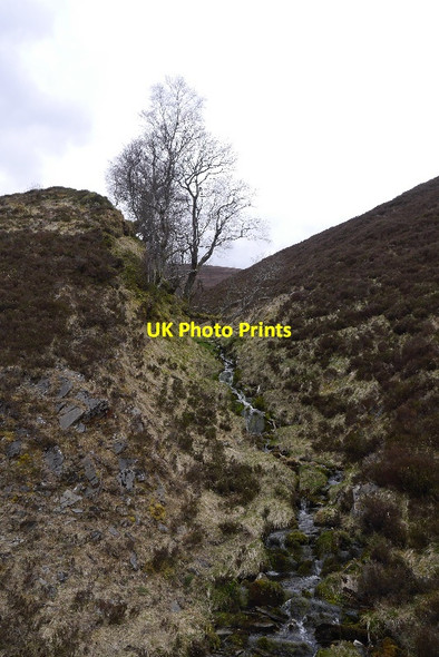 Photo 6"x4" Elf House Burn Elf House c2015