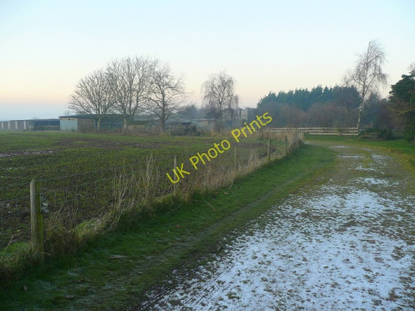 Photo 6"x4" Track to a pig farm Bromsash c2009