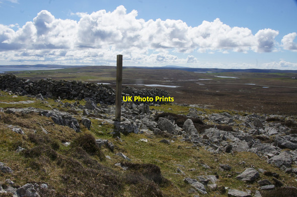 Photo 6"x4" Planticrub on the SW slopes of Sobul Mailand c2015