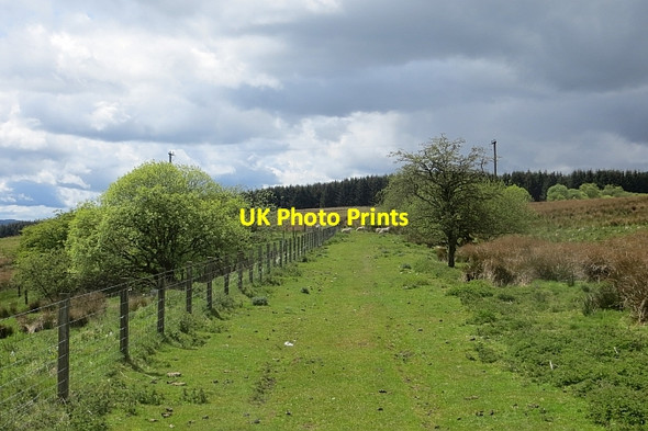Photo 6"x4" Border Counties Railway Saughtree c2015