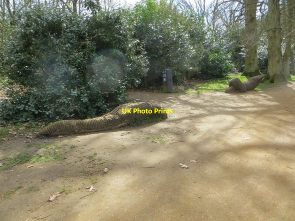 Photo 6"x4" Worm on the Path Cufaude c2015