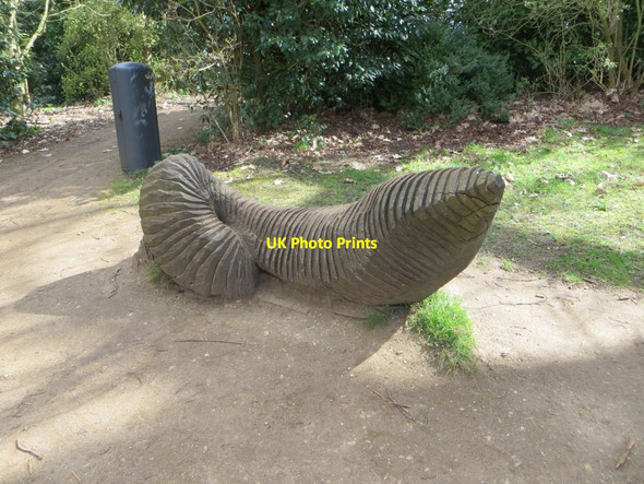 Photo 6"x4" Earthworm Jim Cufaude c2015