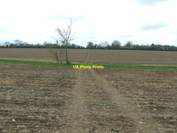 Photo 6"x4" Across Open Fields Bridge Green\/TL4636 c2015