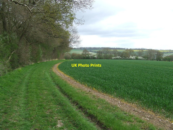 Photo 6"x4" Footpath At The Edge Of Rockell's Wood Bridge Green\/TL4636 c2015