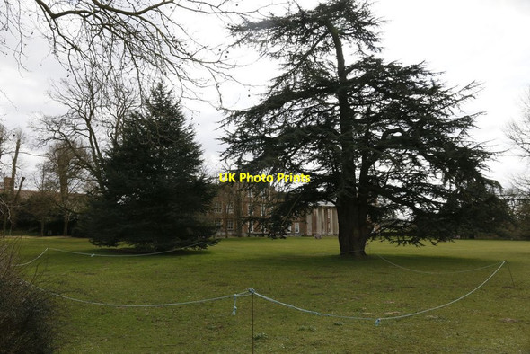 Photo 6"x4" Vyne from the Pump Cufaude c2015