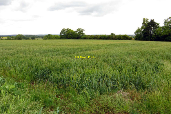 Photo 6"x4" Arable field by Ardington Wick Ardington Wick c2015