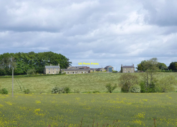 Photo 6"x4" Looking across oil seed rape and cereal crops Belsay c2015