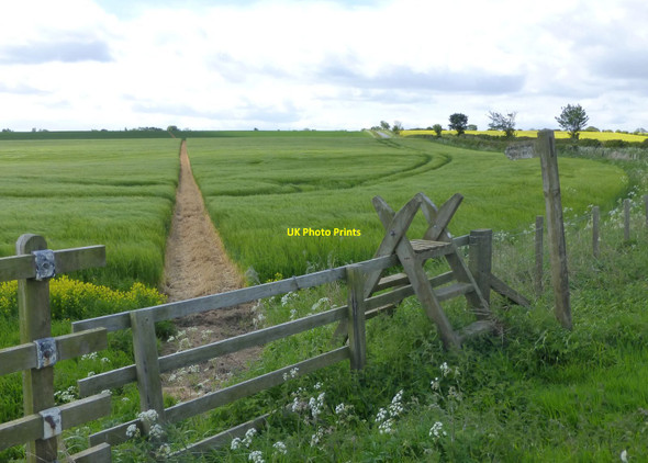 Photo 6"x4" Stile and footpath through the cereal crop to Ogle Ogle c2015