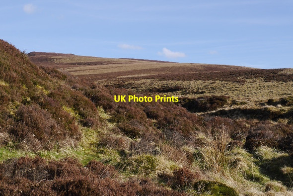 Photo 6"x4" Moorland, Pantry Burn Carn Allt a' Chlaiginn c2015