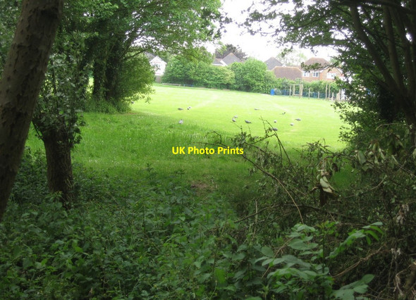 Photo 6"x4" Grounds of local school Basingstoke c2015