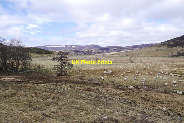Photo 6"x4" Glen Gairn Gairnshiel Lodge c2015