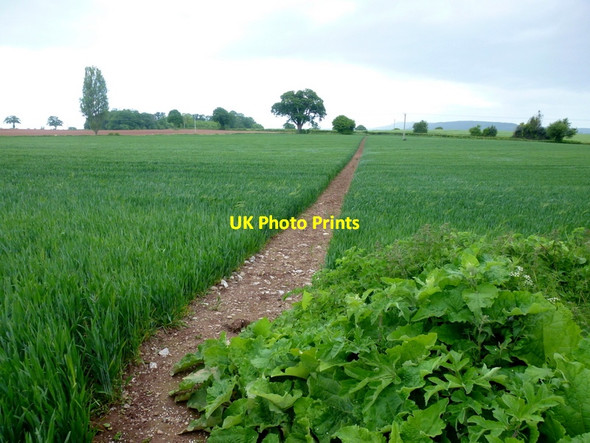 Photo 6"x4" Straight path, 1 Shenmore c2015