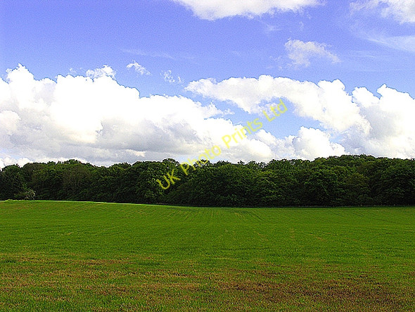 Photo 6"x4" Farmland near Yattendon Frilsham c2005