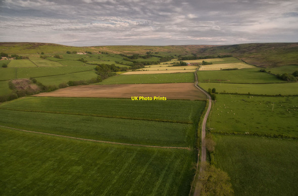 Photo 6"x4" Fields either side of Broadgate Road Westerdale\/NZ6605 c2015