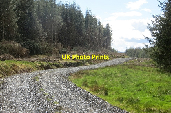 Photo 6"x4" New road, Wauchope Forest Cooper's Cleuch c2015