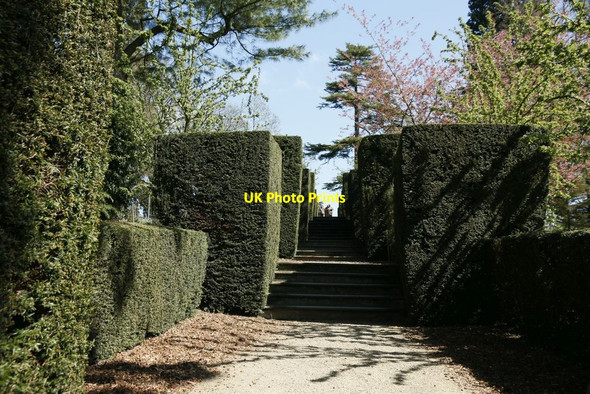 Photo 6"x4" Walk along the Hedging Buscot c2015