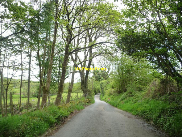 Photo 6"x4" The road down Cwm Pennant Dolbenmaen c2015
